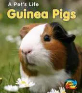 Guinea Pigs