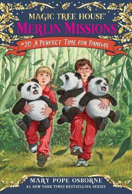 A Perfect Time for Pandas