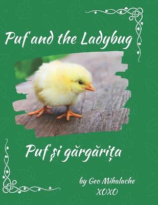 Puf and the Ladybug - Puf și gărgărița: Poveste bilingvă engleză romană pentru copii / English-Romanian Story for Children
