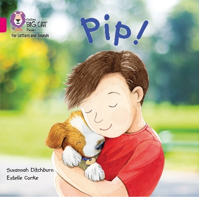 Pip! Big Book: Band 01a/Pink a