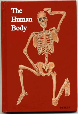 The Human Body