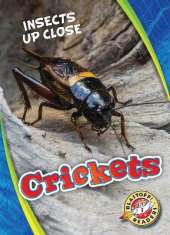 Crickets