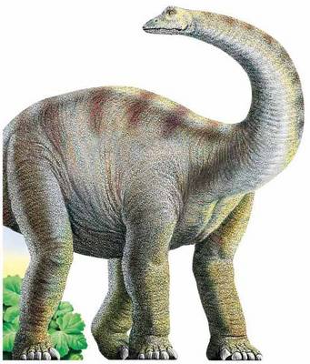 Diplodocus: Diplodocus
