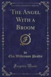 The Angel With a Broom (Classic Reprint)