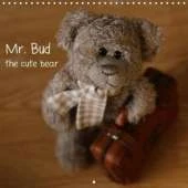 Mr. Bud, the Cute Bear 2018: Adventures of a Cute Teddy Bear