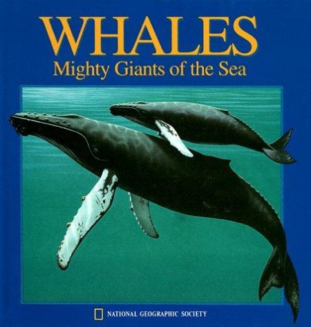 Whales: Mighty Giants of the Sea