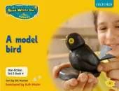 Read Write Inc. Phonics: Non-fiction Set 5 (Yellow): A model bird - Book 4