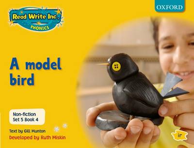 Read Write Inc. Phonics: Non-fiction Set 5 (Yellow): A model bird - Book 4