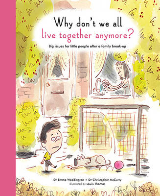 Why Don't We All Live Together Anymore?: Big issues for little people after a family break-up