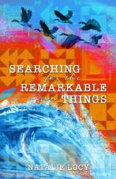 Searching for the Remarkable in Things