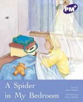 A Spider in My Bedroom