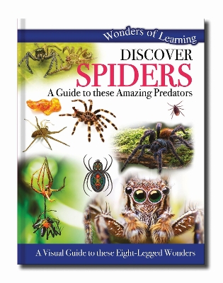 Discover Spiders: A Guide to These Amazing Predators