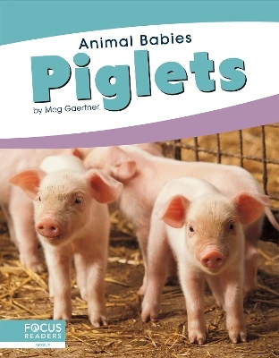 Animal Babies: Piglets