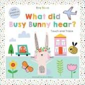 What did Busy Bunny hear?