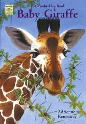 Baby Giraffe: A Lift-the-flap Book
