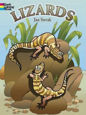 Lizards