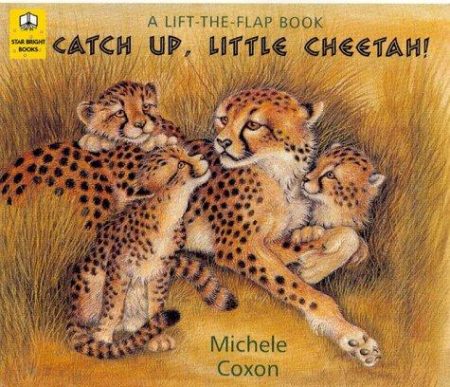 Catch Up, Little Cheetah!: A Lift-the-flap Book