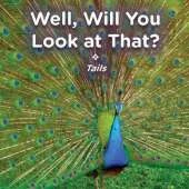 Well, Will You Look at That? Tails