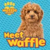 Meet Waffle!