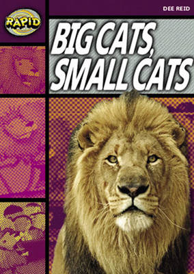 Rapid Stage 1 Set A Reader Pack: Big Cats Small Cats (series 1)