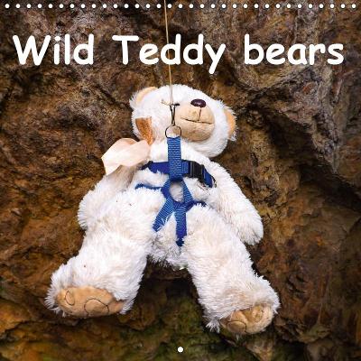 Wild Teddy bears 2019: Some fun with the Teddy bears. Monthly calender