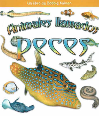 Animales Llamados Peces (Animals Called Fish)