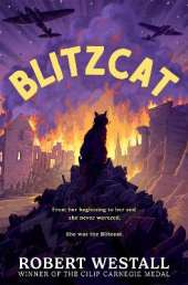 Blitzcat