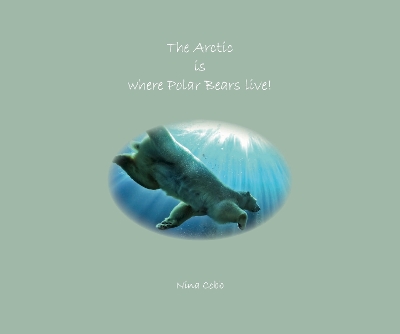 The Arctic is where Polar Bear live
