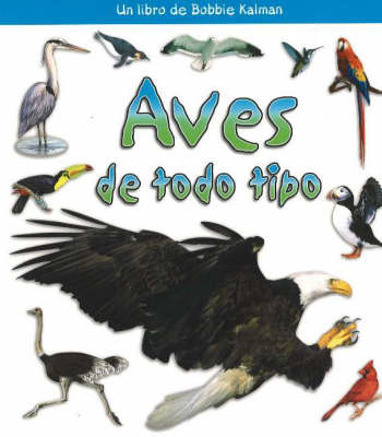 Aves de Todo Tipo (Birds of All Kinds)