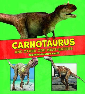 Dinosaur Fact Dig Pack B of 4