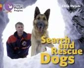 Search and Rescue Dogs: Band 06 Orange/Band 14 Ruby