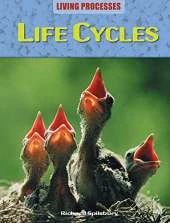 Life Cycles