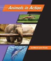 Animals in Action