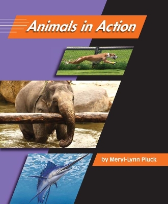 Animals in Action
