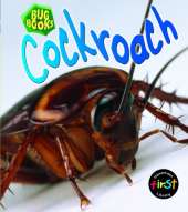 Cockroach