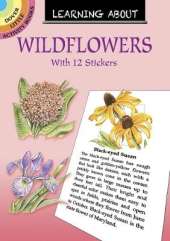 Learning About Wildflowers