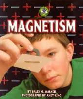 Magnetism: Early Bird - Energy