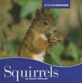Squirrels