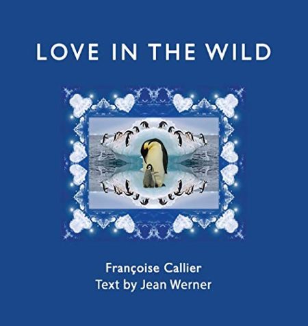 LOVE in the WILD