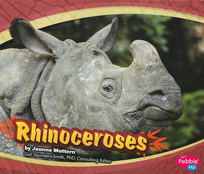 Rhinoceroses (Asian Animals)