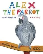 Alex The Parrot