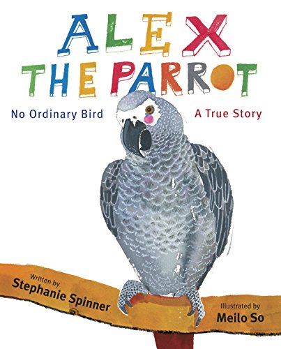 Alex The Parrot