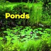 Bodies of Water Pack A of 4