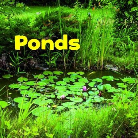 Bodies of Water Pack A of 4