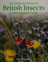 British Insects: A Photographic Guide