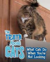 The Truth about Cats: What Cats Do When You're Not Looking