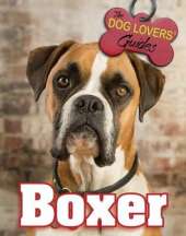 Boxer