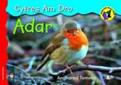 Adar