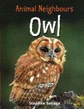 British Animals: Owl