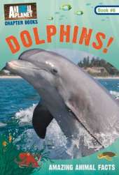 Dolphins!: Book #6